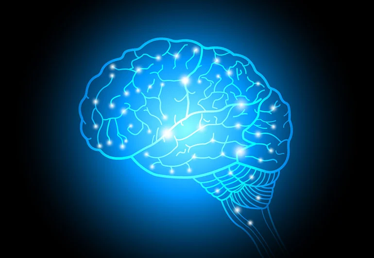Psychology Facts