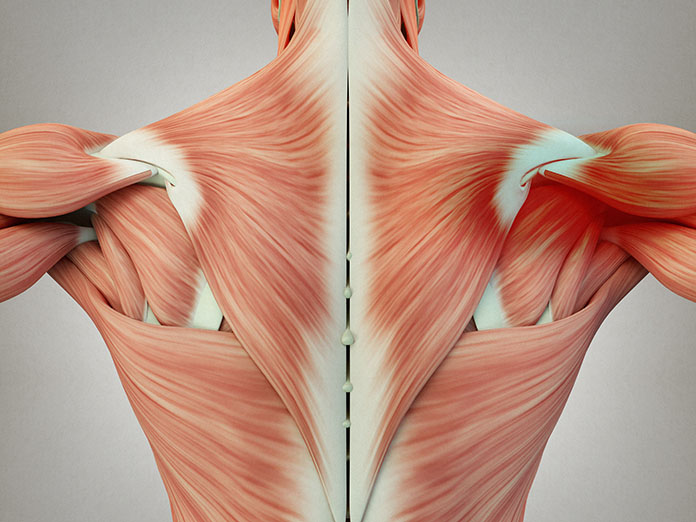 Treating Muscle Knots